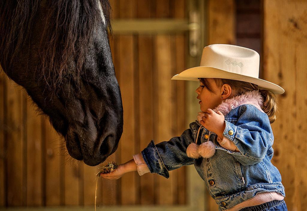 El Bronco Working Ranch Izsak Экстерьер фото