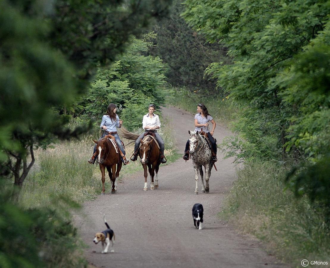 El Bronco Working Ranch Izsak Экстерьер фото